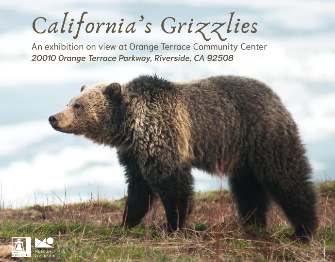 Grizzlies Exhibitions